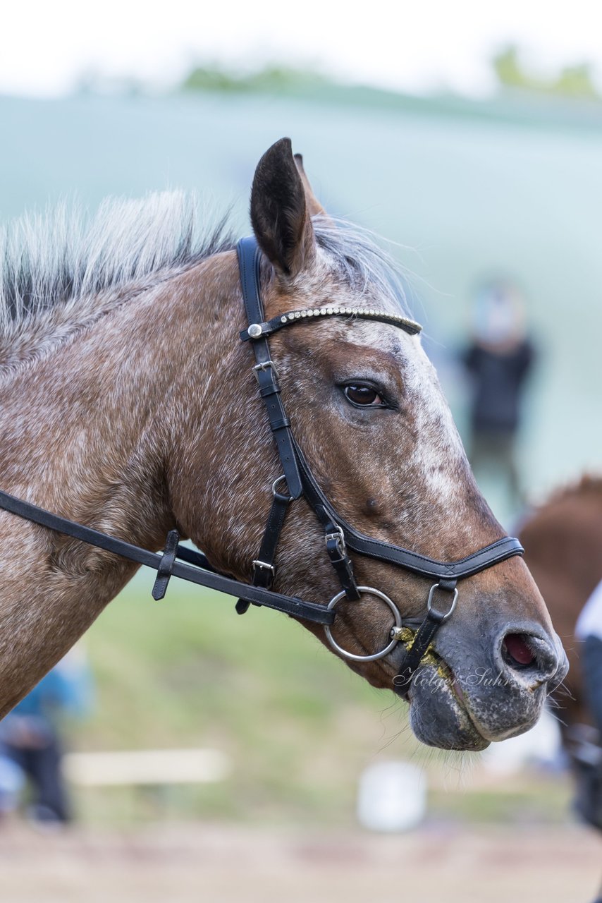 Bild 655 - Pony Akademie Turnier